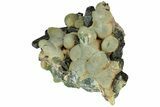 Botryoidal Prehnite and Epidote - Mali #220618-1